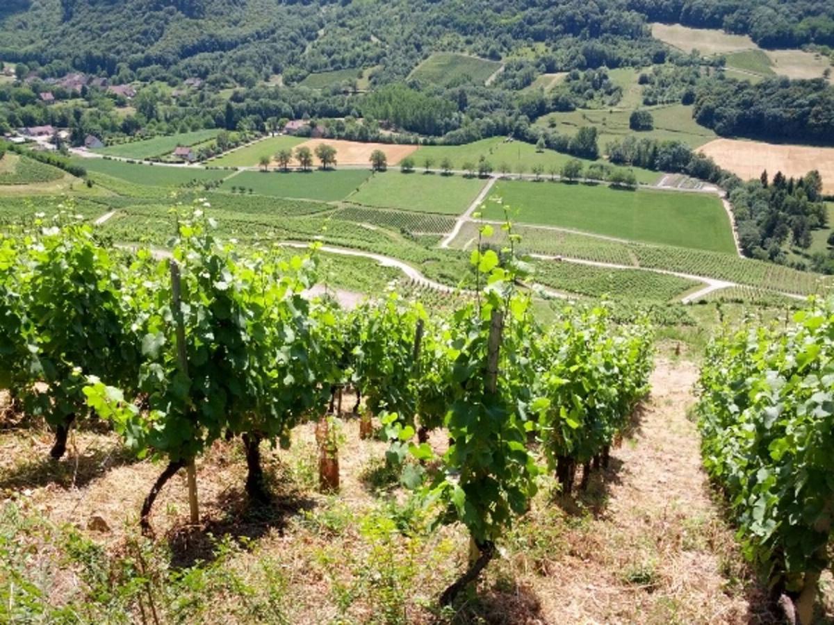 Au Bord De Seille Nevy-Sur-Seille Exterior foto